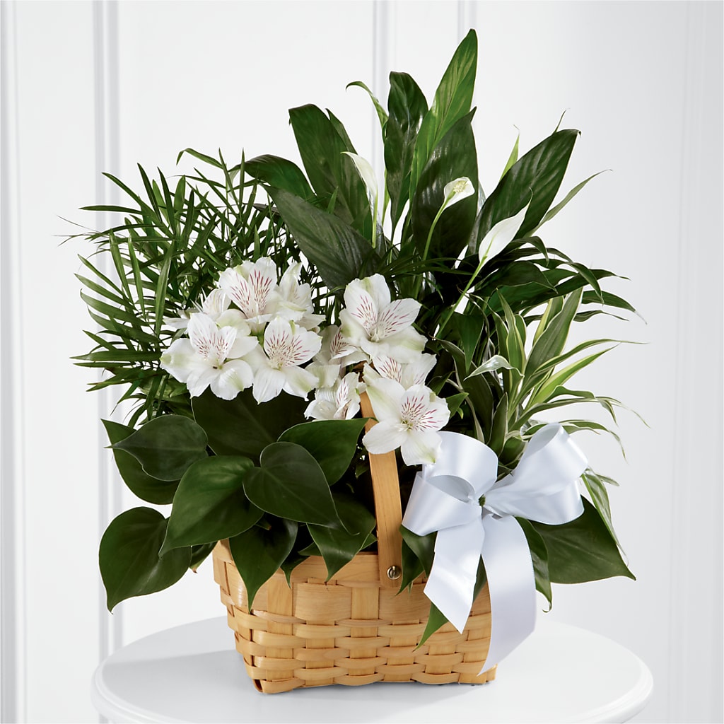 Peace & Serenity Dishgarden – The Total Event Li Inc, Bethpage NY