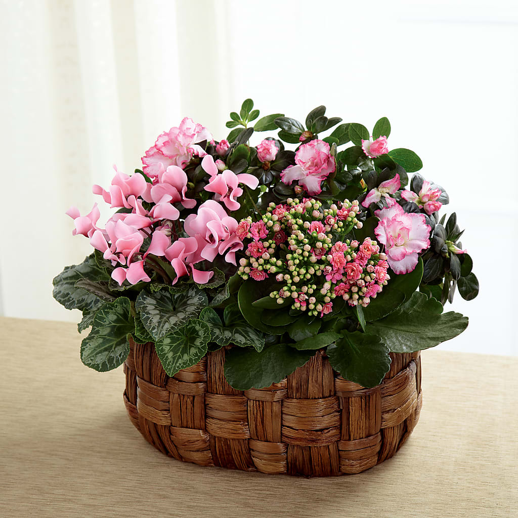 Pink Assortment – The Total Event Li Inc, Bethpage NY