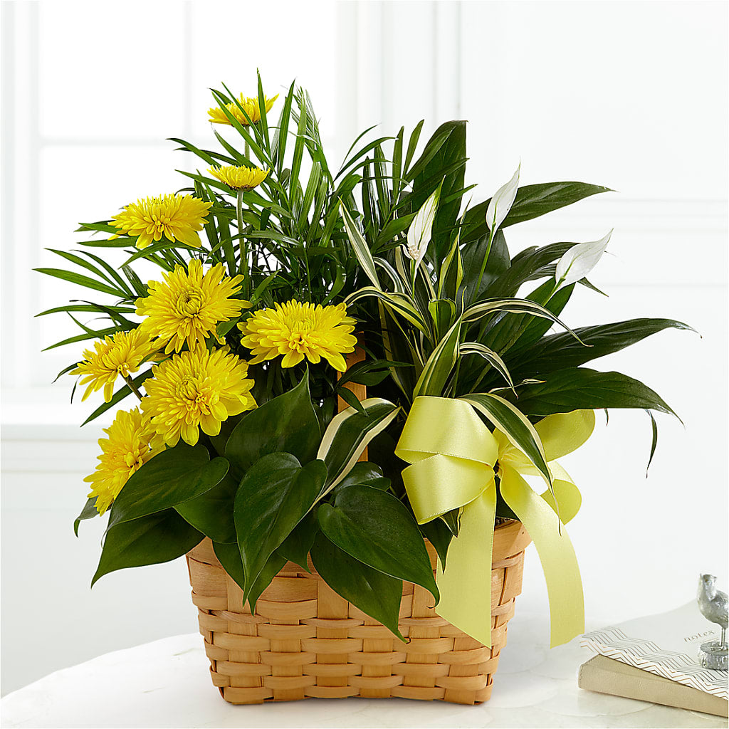 Loving Light Dishgarden – The Total Event Li Inc, Bethpage NY