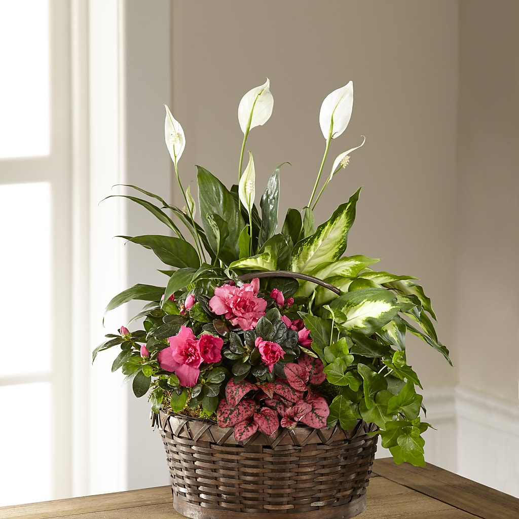 Dream in Pink Dishgarden – The Total Event Li Inc, Bethpage NY