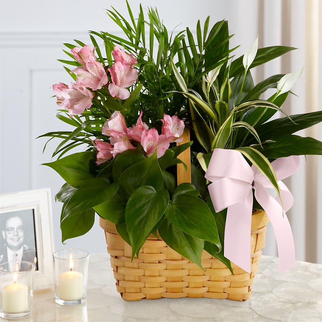 Living Spirit Dishgarden – The Total Event Li Inc, Bethpage NY
