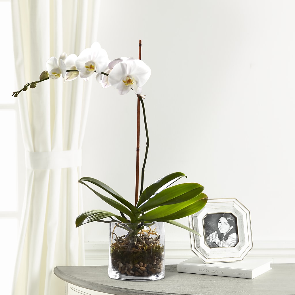 White Orchid Planter – The Total Event Li Inc, Bethpage NY