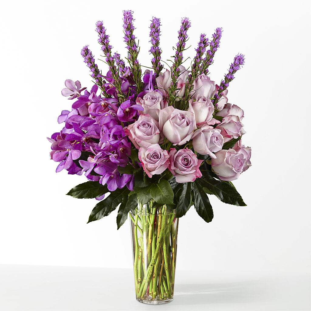 The Maximalist – The Total Event Li Inc, Bethpage NY