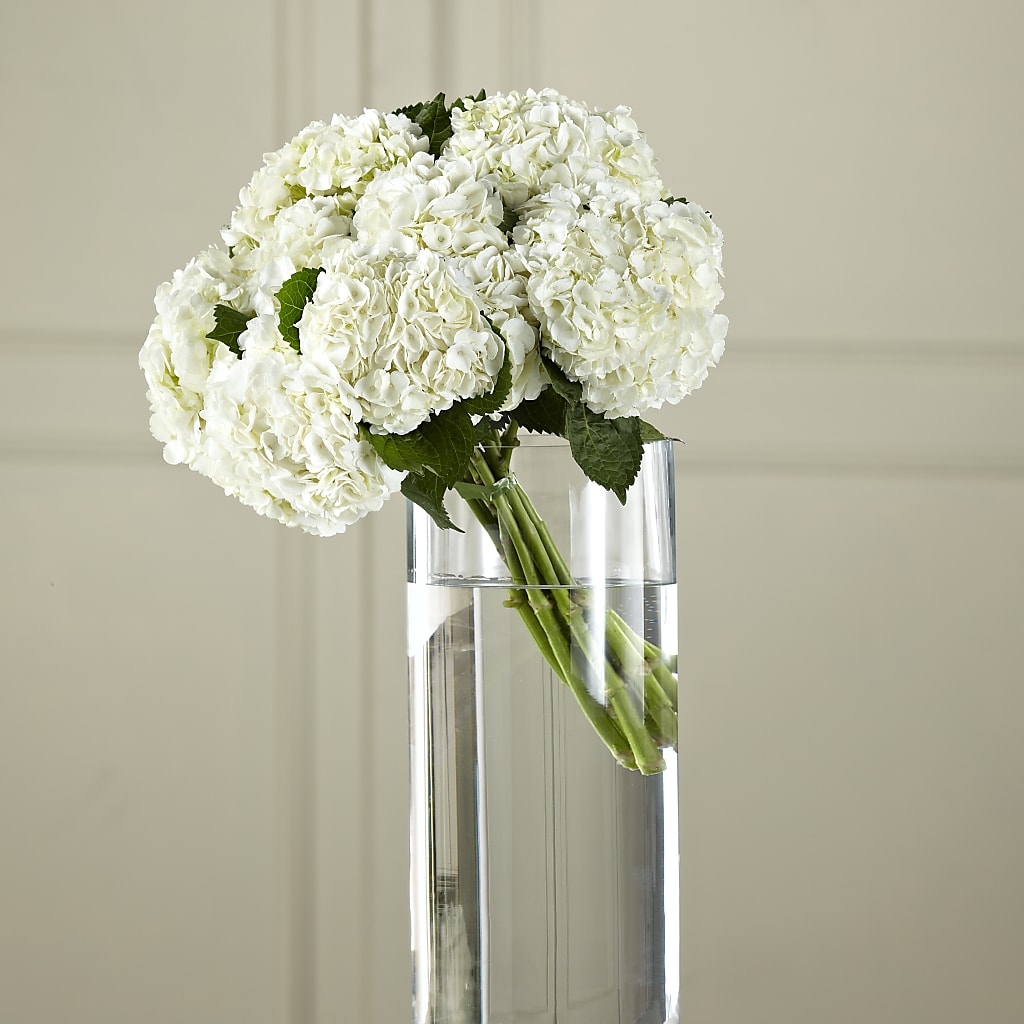 White Hydrangea Hand-Tied Bouquet – The Total Event Li Inc, Bethpage NY