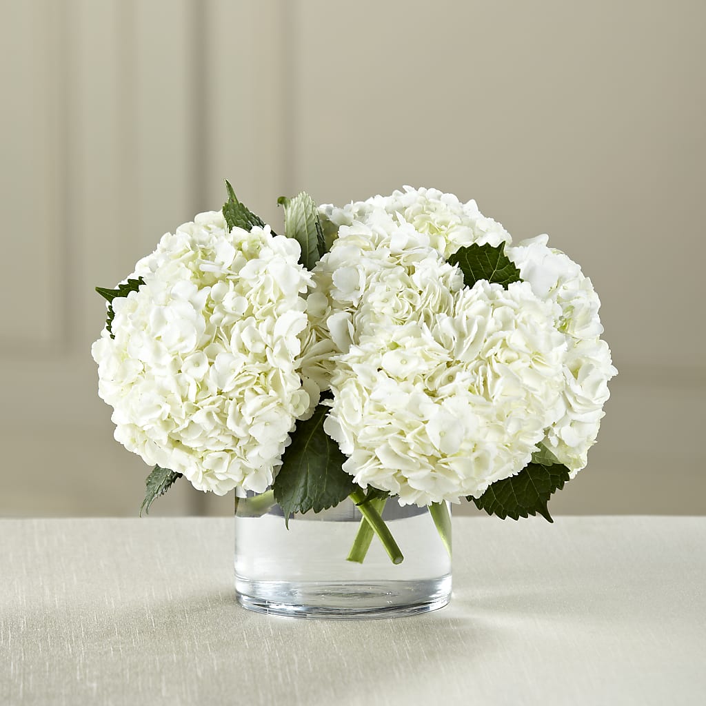 White Hydrangea Bouquet – The Total Event Li Inc, Bethpage NY
