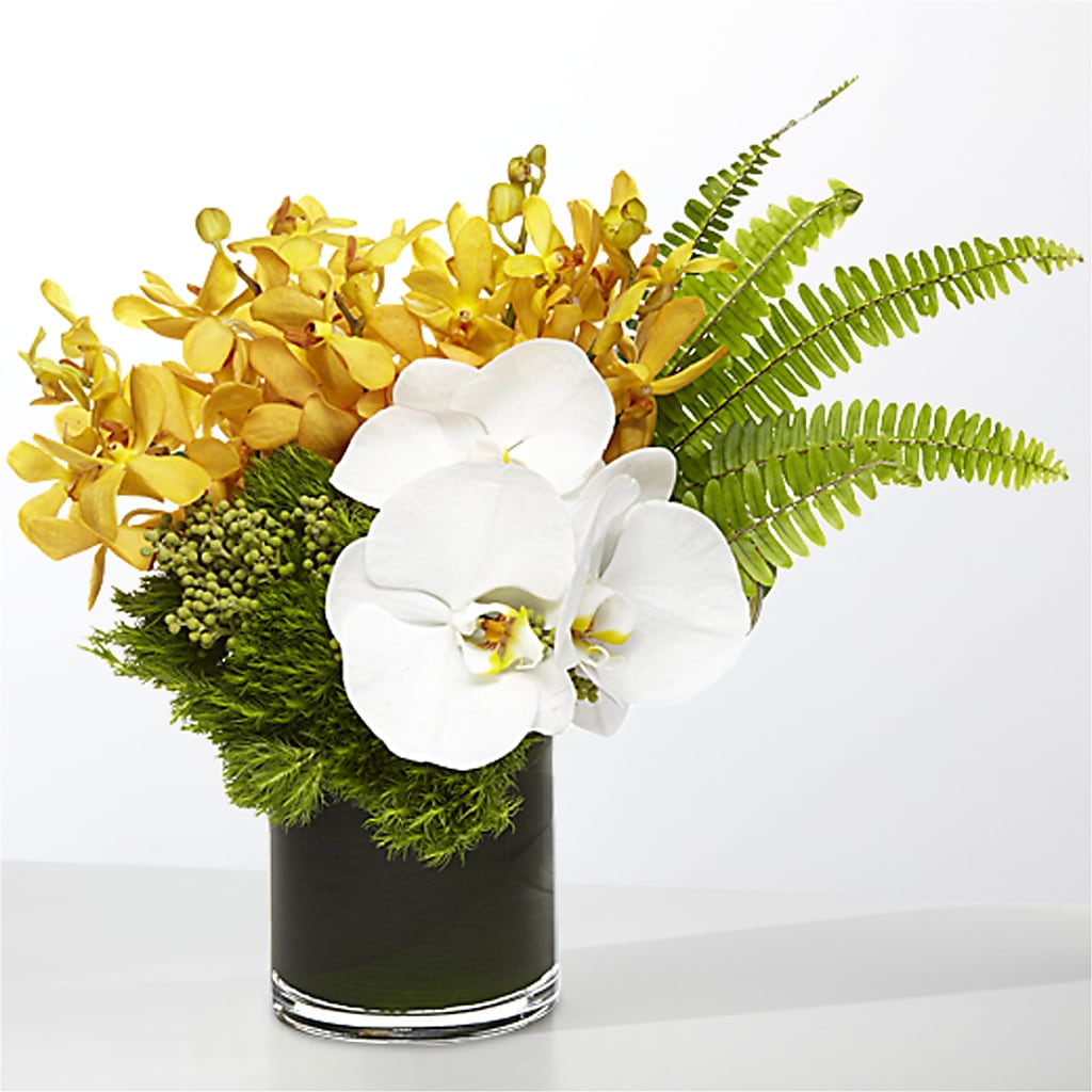 The Tropics –  The Total Event Li Inc, Bethpage NY