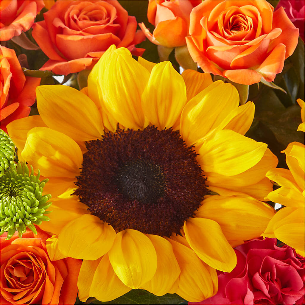Sun-drenched Blooms Box Bouquet –  The Total Event Li Inc, Bethpage NY
