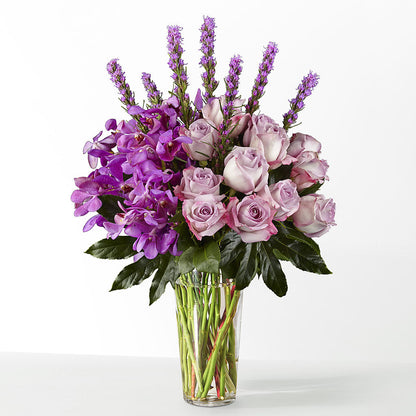 The Maximalist –  The Total Event Li Inc, Bethpage NY